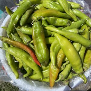 Ms. Junie Green Chile -HOT- Half Bushel