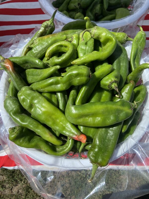 Big Jim Green Chile -MED- Bushel