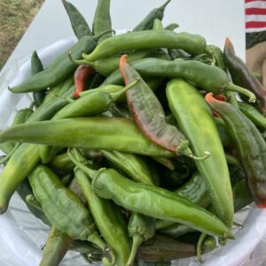 Lumbre Green Chile -XXX Hot- Half Bushel