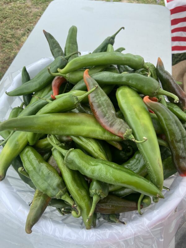 Lumbre Green Chile -XXX Hot- Half Bushel